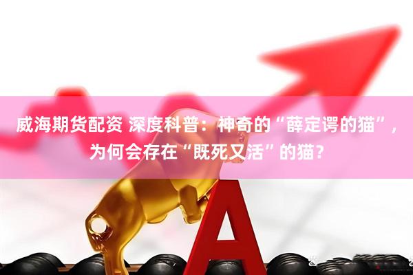 威海期货配资 深度科普：神奇的“薛定谔的猫”，为何会存在“既死又活”的猫？